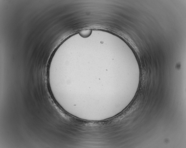 X0000116880898201001121320