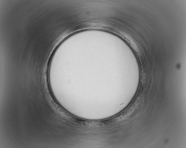 X0000116880899201001121320