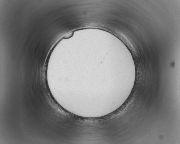 X0000116880900201001121320