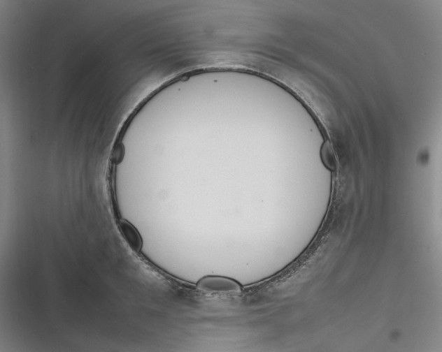 X0000116880901201001121320