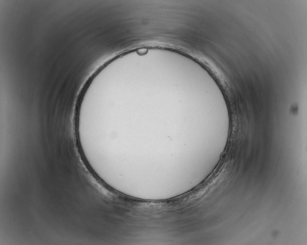 X0000116880902201001121320