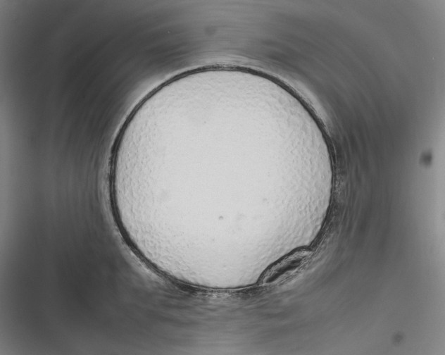X0000116880903201001121320