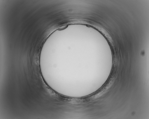 X0000116880905201001121320