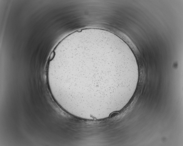 X0000116880908201001121320
