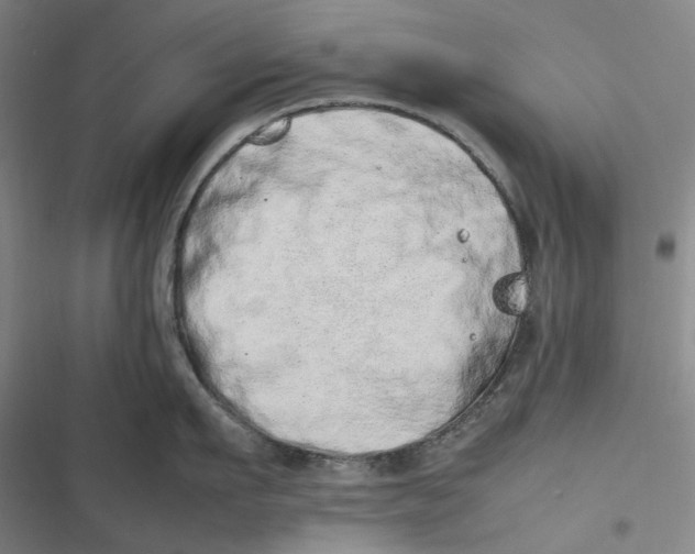 X0000116880911201001121320