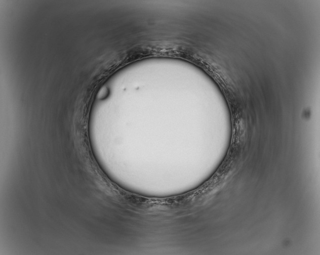 X0000116880913201001121319
