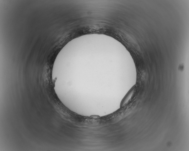 X0000116880914201001121319