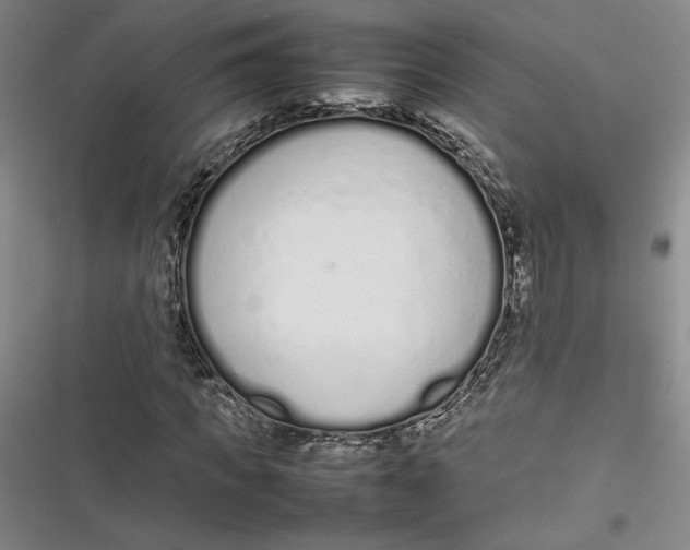 X0000116880917201001121319