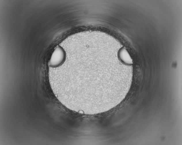X0000116880918201001121319