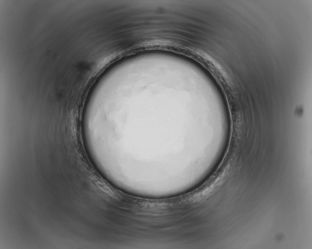 X0000116880921201001121319