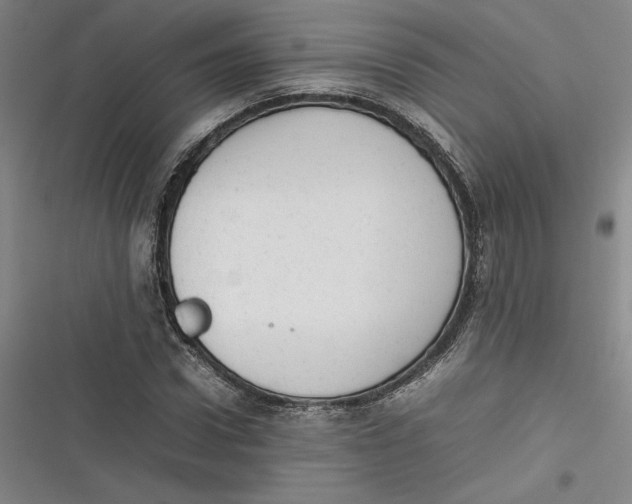 X0000116880922201001121319