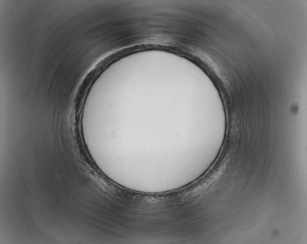 X0000116880923201001121319