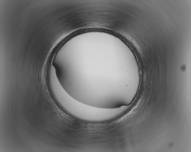 X0000116880925201001121319