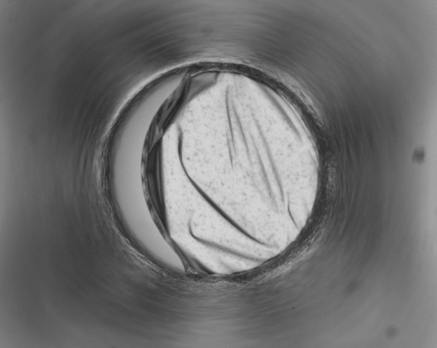 X0000116880926201001121319