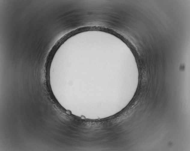 X0000116880927201001121319