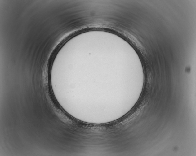 X0000116880934201001121319