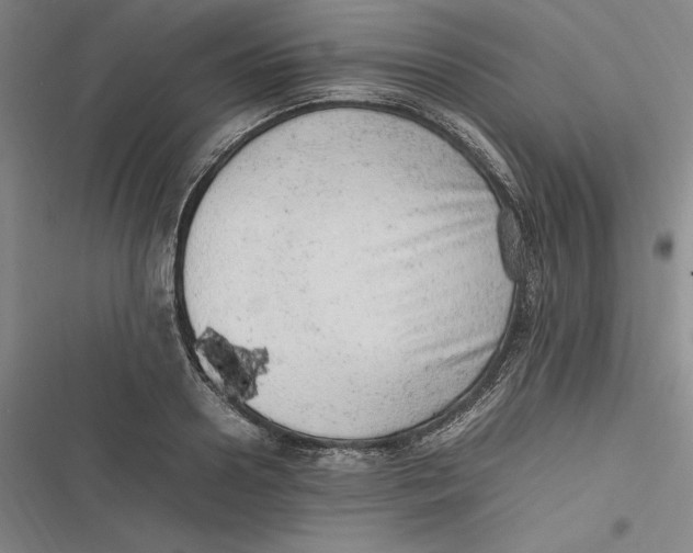 X0000116880938201001121319