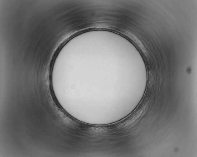 X0000116880939201001121319