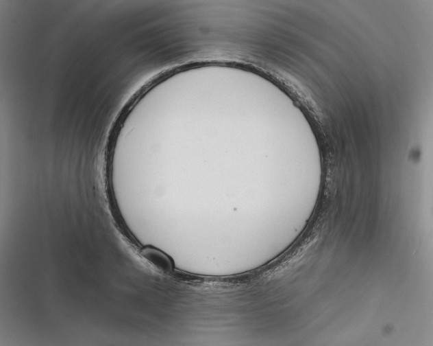 X0000116880942201001121319