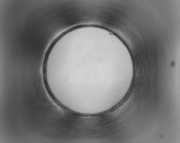 X0000116880943201001121320