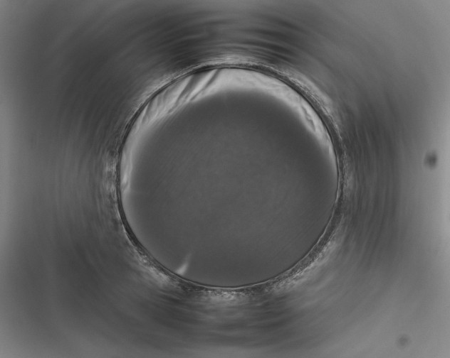 X0000116880945201001121320