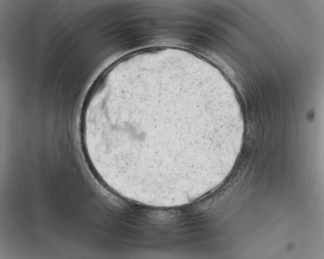 X0000116880947201001121320