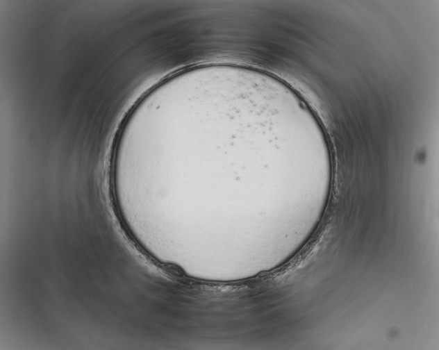X0000116880949201001121320