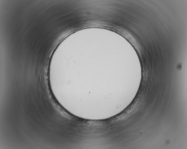 X0000116880954201001121320