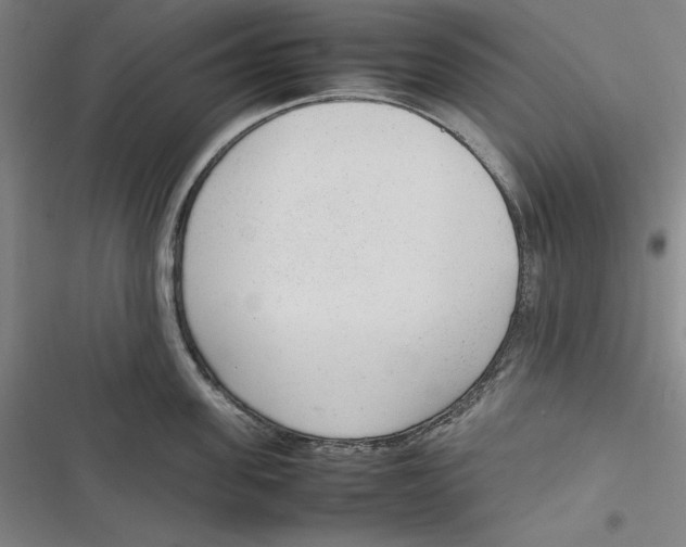 X0000116880955201001121320