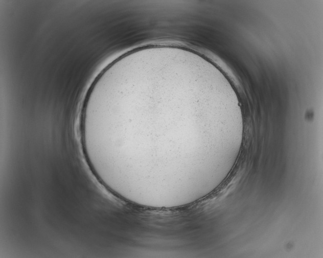 X0000116880959201001121320