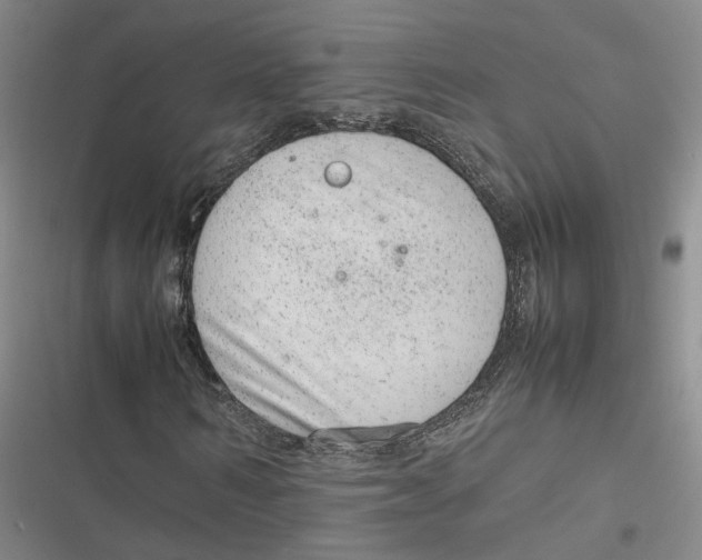 X0000116880962201001121319