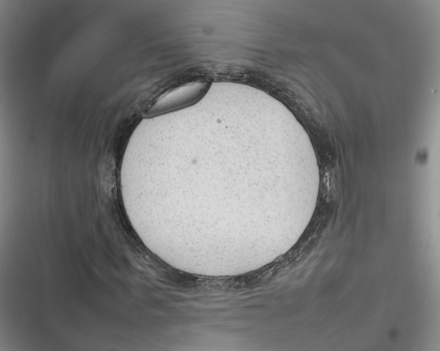 X0000116880963201001121319