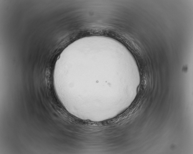 X0000116880964201001121319