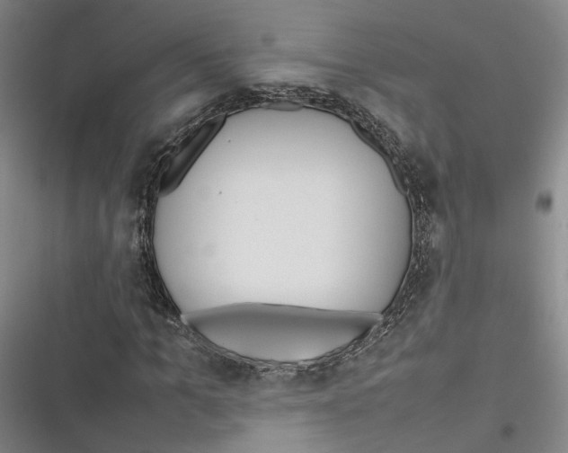 X0000116880965201001121319