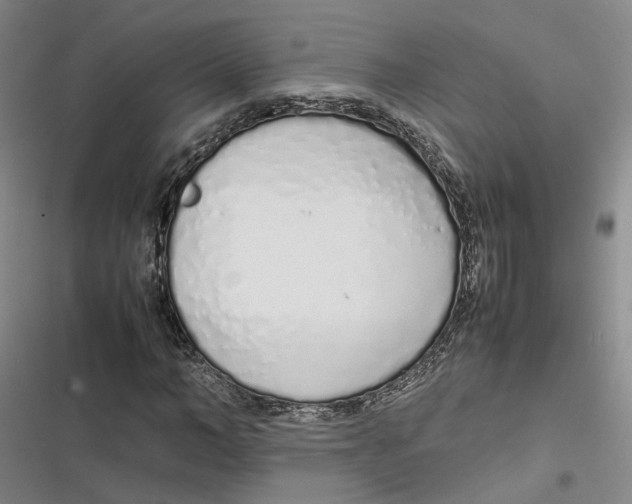 X0000116880966201001121319