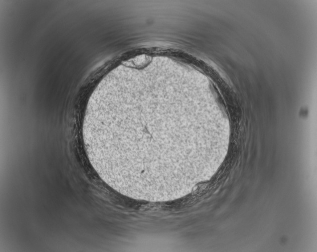 X0000116880967201001121319