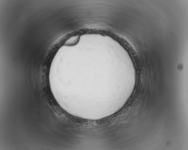 X0000116880968201001121319