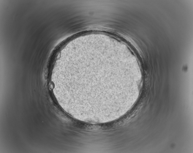 X0000116880971201001121319