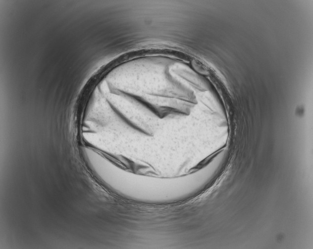 X0000116880973201001121319