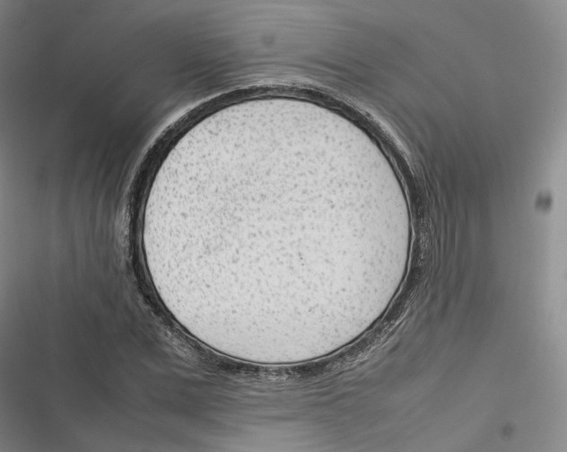 X0000116880975201001121319