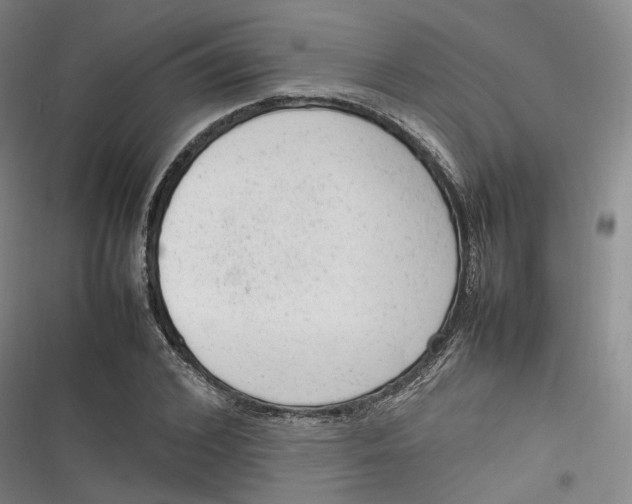 X0000116880976201001121319