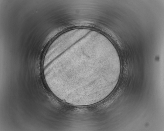 X0000116880978201001121319
