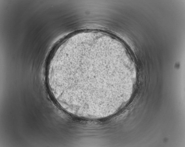 X0000116880979201001121319