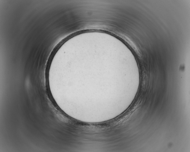 X0000116880980201001121319