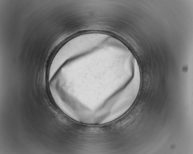 X0000116880982201001121319