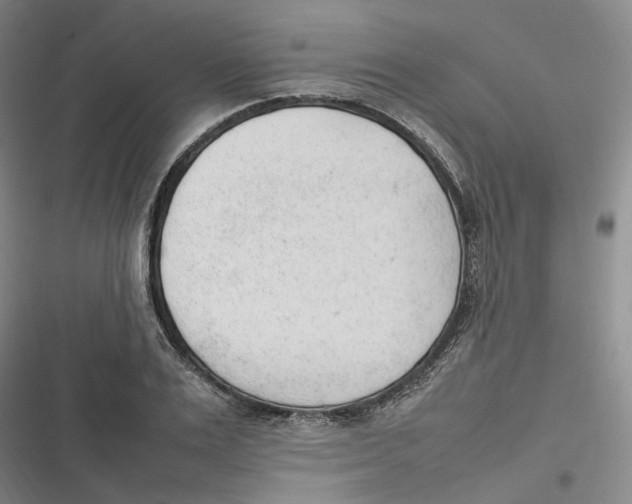 X0000116880983201001121319