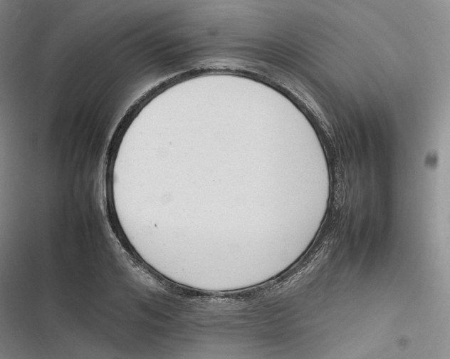 X0000116880984201001121319