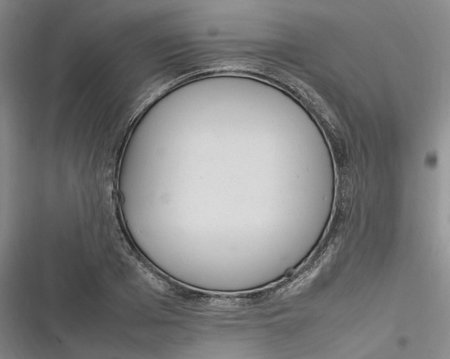X0000116880985201001121319