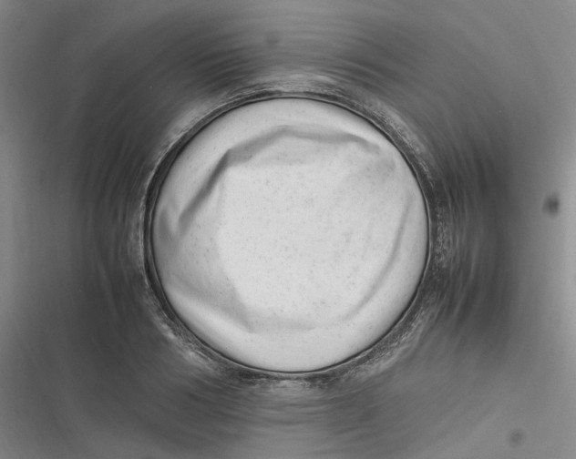 X0000116880986201001121319