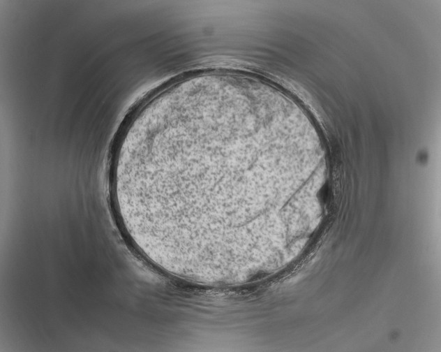 X0000116880987201001121319